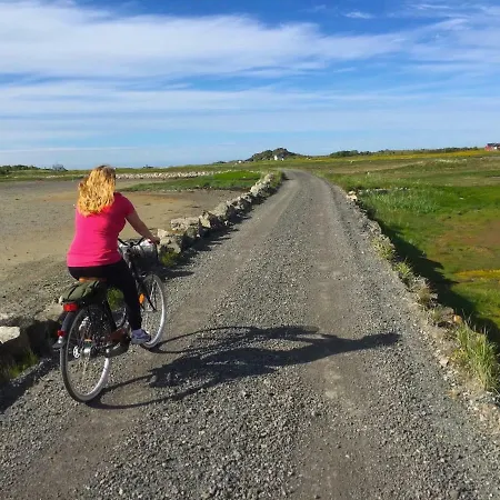 Steinbakk - Vestresand Lofoten 別荘