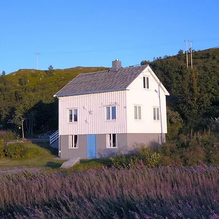 Steinbakk - Vestresand Lofoten Vakantiehuis Bostad